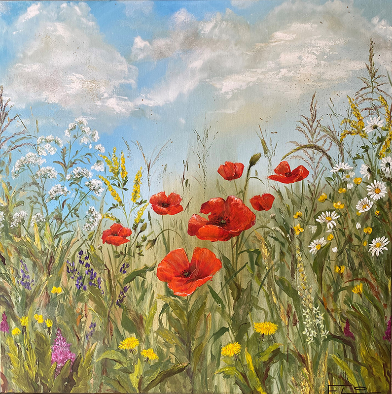 Wild Poppies